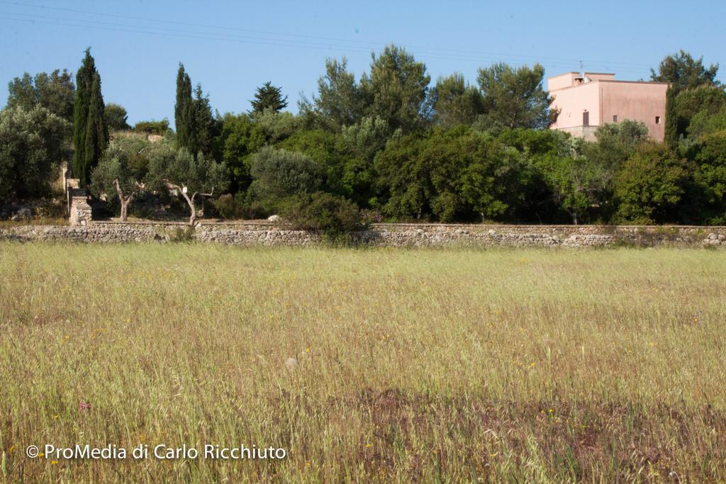 Masseria Moresano Ugento Quarto foto